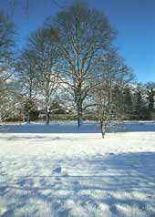 Looking across the village green